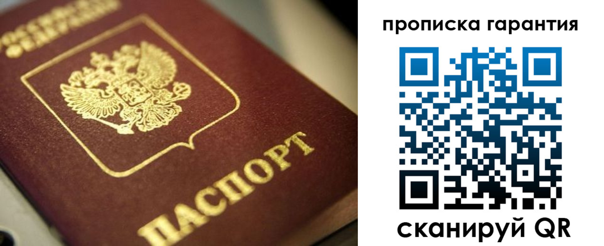 прописка поиск в Туле